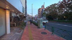 ЯПОНСКИЙ ДЗЕН ⛩️ Удивительная осень в Восточном Токио