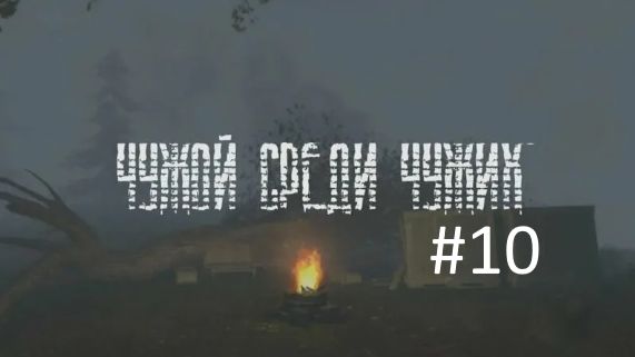 ЧУЖОЙ СРЕДИ ЧУЖИХ #10 (без комментариев)
