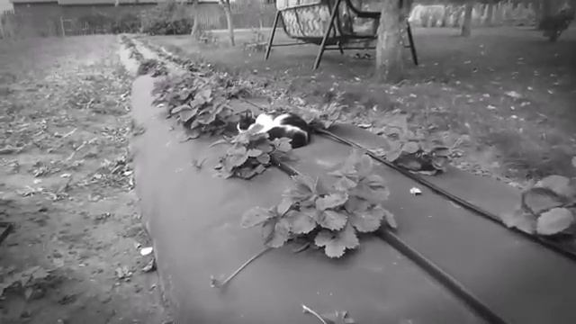 хз что писать