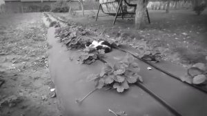 хз что писать