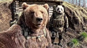 🔴Михалыч и Потапыч - «Новый Компаньон»🔴