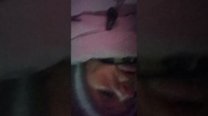 7 декабря. Первое морозное утро декабря.