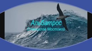 Альбатрос