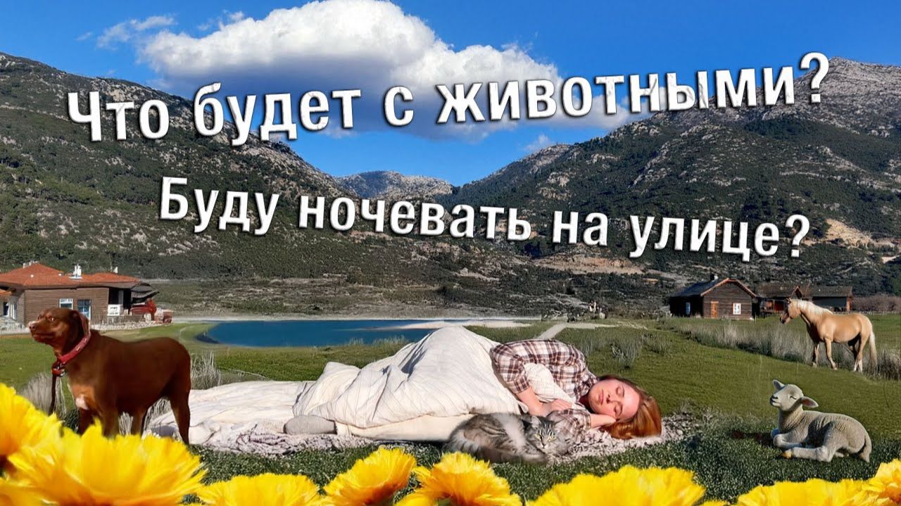 Как пережить зиму ОДНОЙ в деревне? Показываю сад моих соседей. Готовлю крем-суп из тыквы с мясом