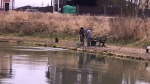 поимка форели на фидер