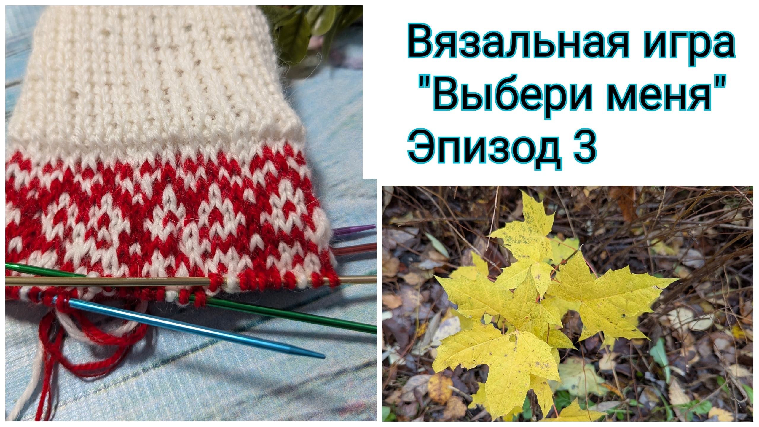 "Выбери меня". Отчёт 3. О, жаккард, обожаю тебя! Добралась до котиков 😄🐈🐈