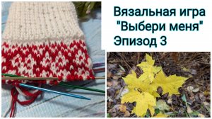 "Выбери меня". Отчёт 3. О, жаккард, обожаю тебя! Добралась до котиков 😄🐈🐈