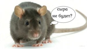 Генерация домашнего питомца с помощью нейросети