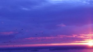 Борис Пастернак Зимняя ночь Читает Анатолий Алымов