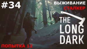 ИГРАЕМ В THE LONG DARK | #thelongdark | ВЫЖИВАНИЕ. СТАЛКЕР | #34 ДНИ 1-3