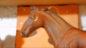 интервью с блогером MLP спирит ТВ//лошади шляйх// Karmen studio//рубрика интервью//