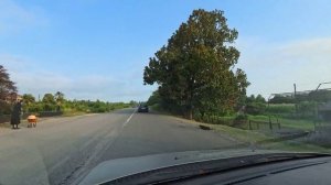 По дорогам Абхазии