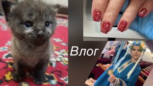Влог/ покрыла плесень🫣/ как мы назвали кота😻/ новые гель-лаки🤩/ У Николь снова 🥇 место💃🏻
