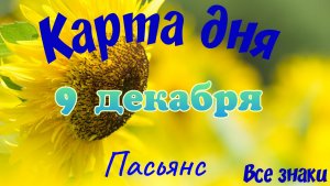 Карта дня❄9 декабря🎄☃️Пасьянс. Тайм-код в описании🦢