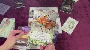 🕊️🩵ЧТО ПО СУДЬБЕ В БЛИЖАЙШИЕ ДНИ❓ СОБЫТИЯ НА ПОРОГЕ 💌 #таро