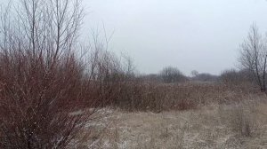 И у нас выпал СНЕГ!!! Ура!!