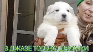 только девочки...