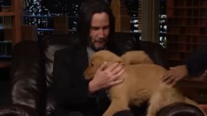 Викторина с Киану Ривзом | «Вечернее шоу» с Джимми Фэллоном в главной роли