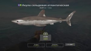 Русская Рыбалка 4. Норвежское море. 55-ая банка