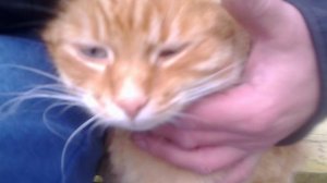 Володя с котом.