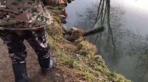 поимка крупного осетра