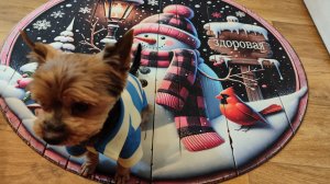 Получила подарок о котором так долго мечтала .Меня муж заставляет готовиться к Новому году