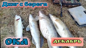 Декабрьская рыбалка: Как поймать крупного судака с берега