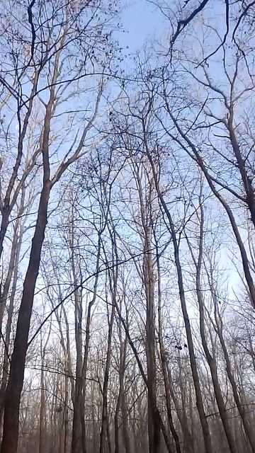 VID_2025-12-07-13-45-53-396 смотреть онлайн