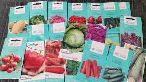 Семена на 2026 год от Садов России для урожайного огорода в деревне!