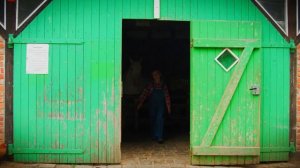 Мультик для детей. Дети, одетые как фермеры, заботятся о животных 🐑🌿