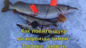 Как ловить щуку на жерлицы зимой . Тактика, снасть.