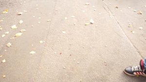 Петарды ударные Maxsem P1004 - попкорн Diabelki (бертолетова соль дибилки чесночки) - 50 штук