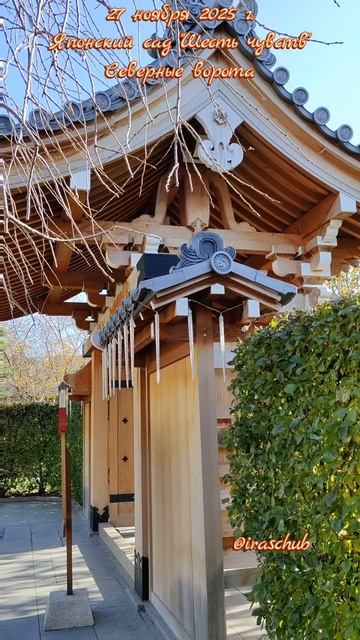 27 ноября 2025 г. Японский сад "Шесть чувств".Северные ворота #крым #ялта2025 #мрия #японскийсад