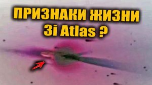 Анализ Снимков 3i Atlas указывает на наличие признаков жизни на этом НЛО?