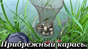Рыбалка. Прибрежный карась.