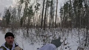 охота на Сибирскую косулю с подхода. Козы чуть незатоптали Михалыча.