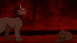 коты воители. НАСТОЯЩАЯ ТЕНЬ