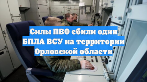Силы ПВО сбили один БПЛА ВСУ на территории Орловской области