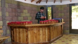 Наш отпуск. Абхазия. город Гагра. Экскурсия. Дегустация меда..