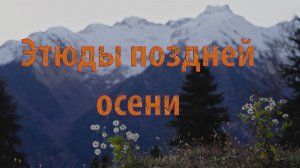 Этюды поздней осени