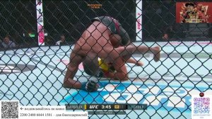 Барбоса - Тернер