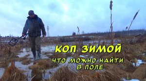 Коп металла зимой. Что можно найти на старых полях!