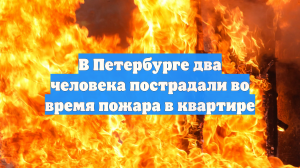 В Петербурге два человека пострадали во время пожара в квартире