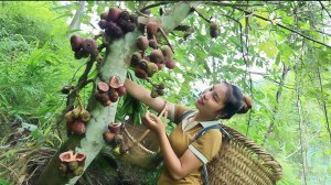 Собираю урожай инжира в саду и везу его на рынок, чтобы продать. Жизнь Дуонг. Вьетнам