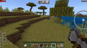 играем в майнкрафт.