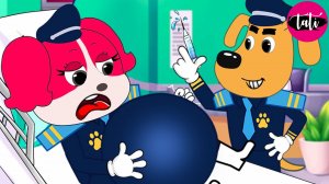 Щенячий патруль и Маршалл. Залипательное видео. Мультфильм для детей и малышей. Анимация