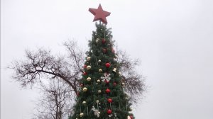 Ёлка парка Поддубного.