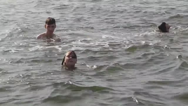 Такое мы не видели никогда //  Что то приплыло в море //( архив)