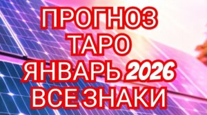 💥💥💥ДЕВА💥💥💥ТАРО ПРОГНОЗ🌲🌲🌲ЯНВАРЬ 2026🌲🌲🌲 ГОДА ВСЕ ЗНАКИ🚨🚨🚨СМОТРИМ🚨🚨🚨
