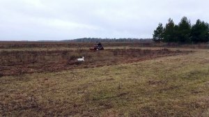 Минитрактор агромаш мт 110 и отвал